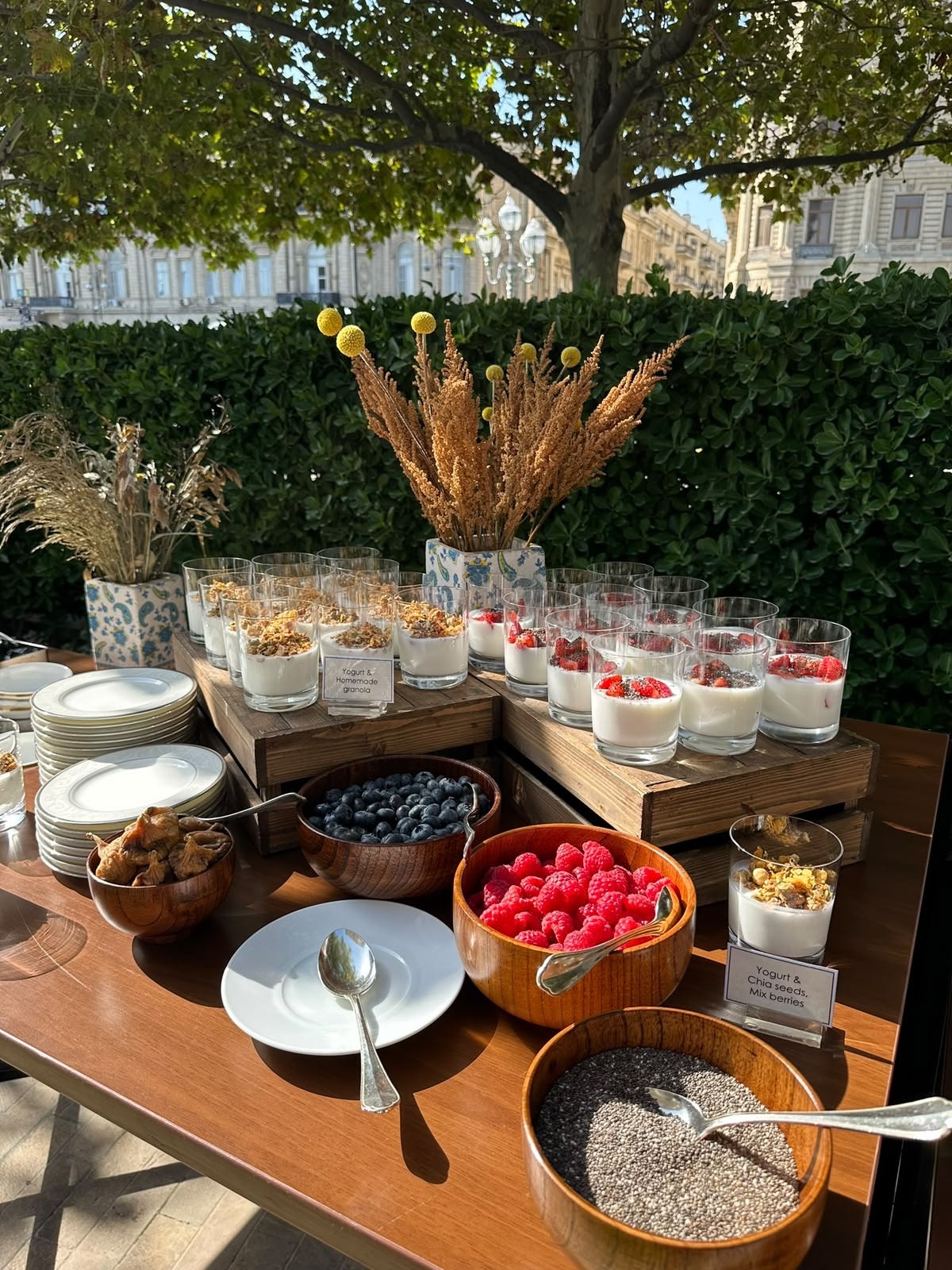 Coffee break with yogurt, fruit and granola in an outdoor space.